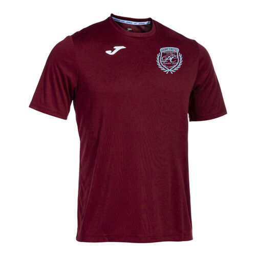 Park Celtic FC Combi Tshirt Thumbnail