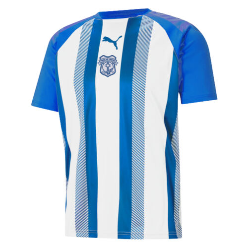 Finglas United Puma teamLiga Striped Jersey Thumbnail