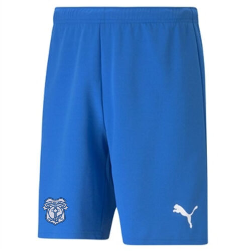 Finglas United Puma teamRise Shorts  Thumbnail