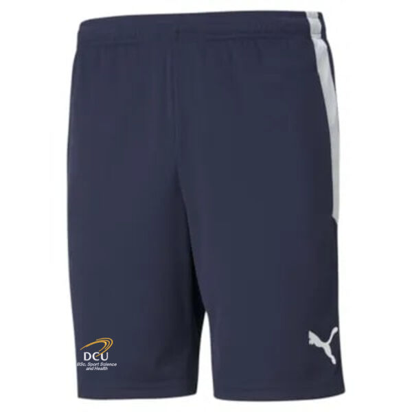 DCU School of Sport Science and Health teamLIGA Training Shorts Thumbnail
