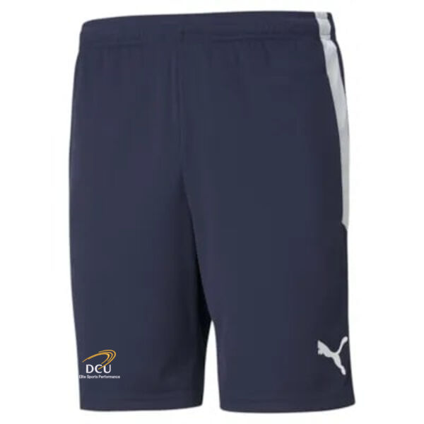 DCU Elite Sports Performance teamLIGA Training Shorts Thumbnail
