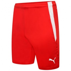 Puma teamLIGA Shorts TeamwearIreland