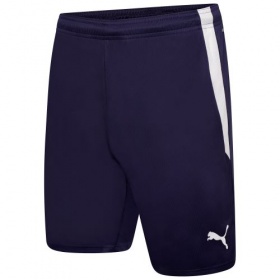 Puma liga shorts deals
