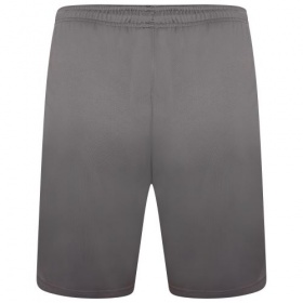 Puma teamLiga Shorts Smoked Pearl/White
