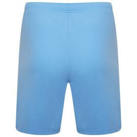 Puma teamRise Shorts Light Blue